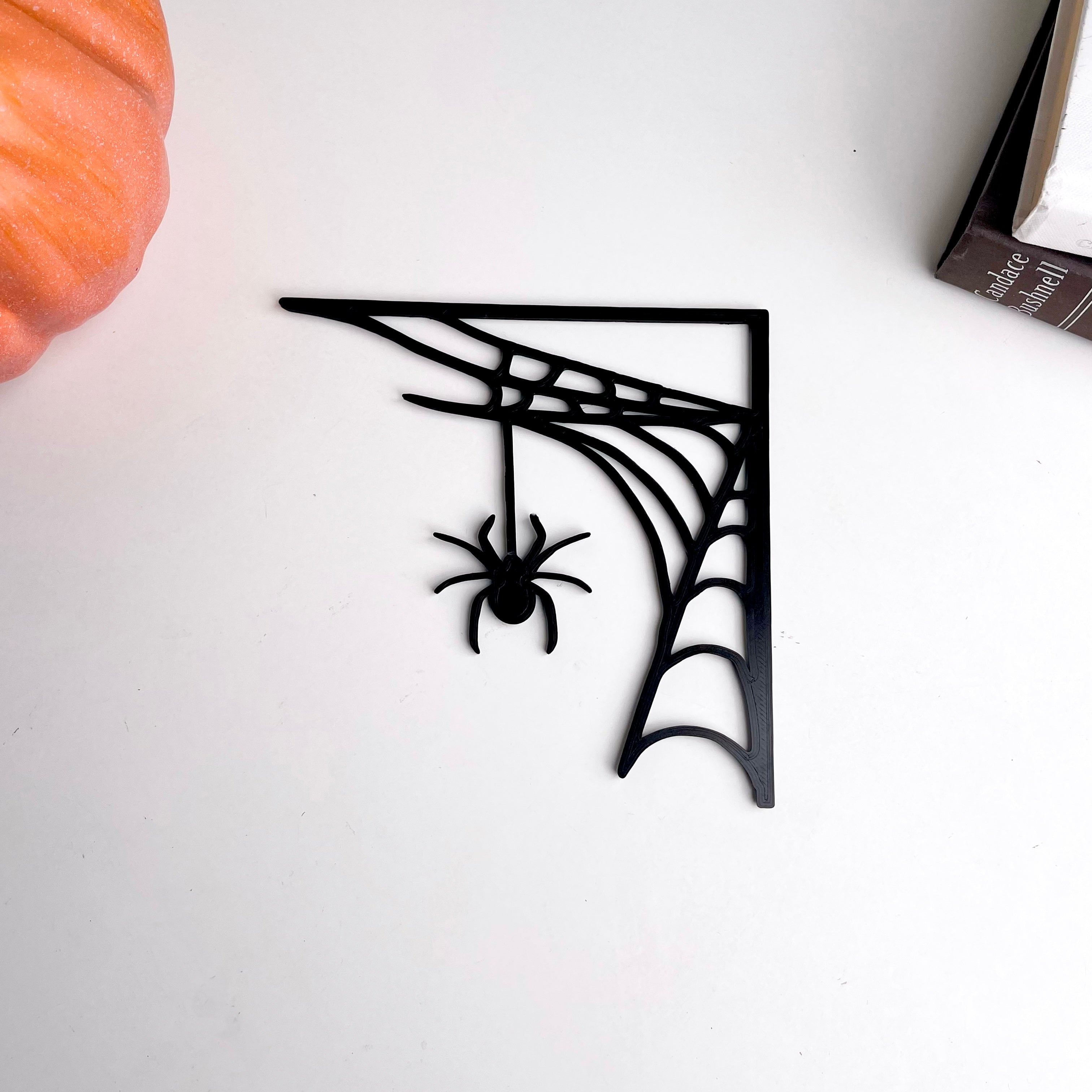 Spider in Web Door Decor