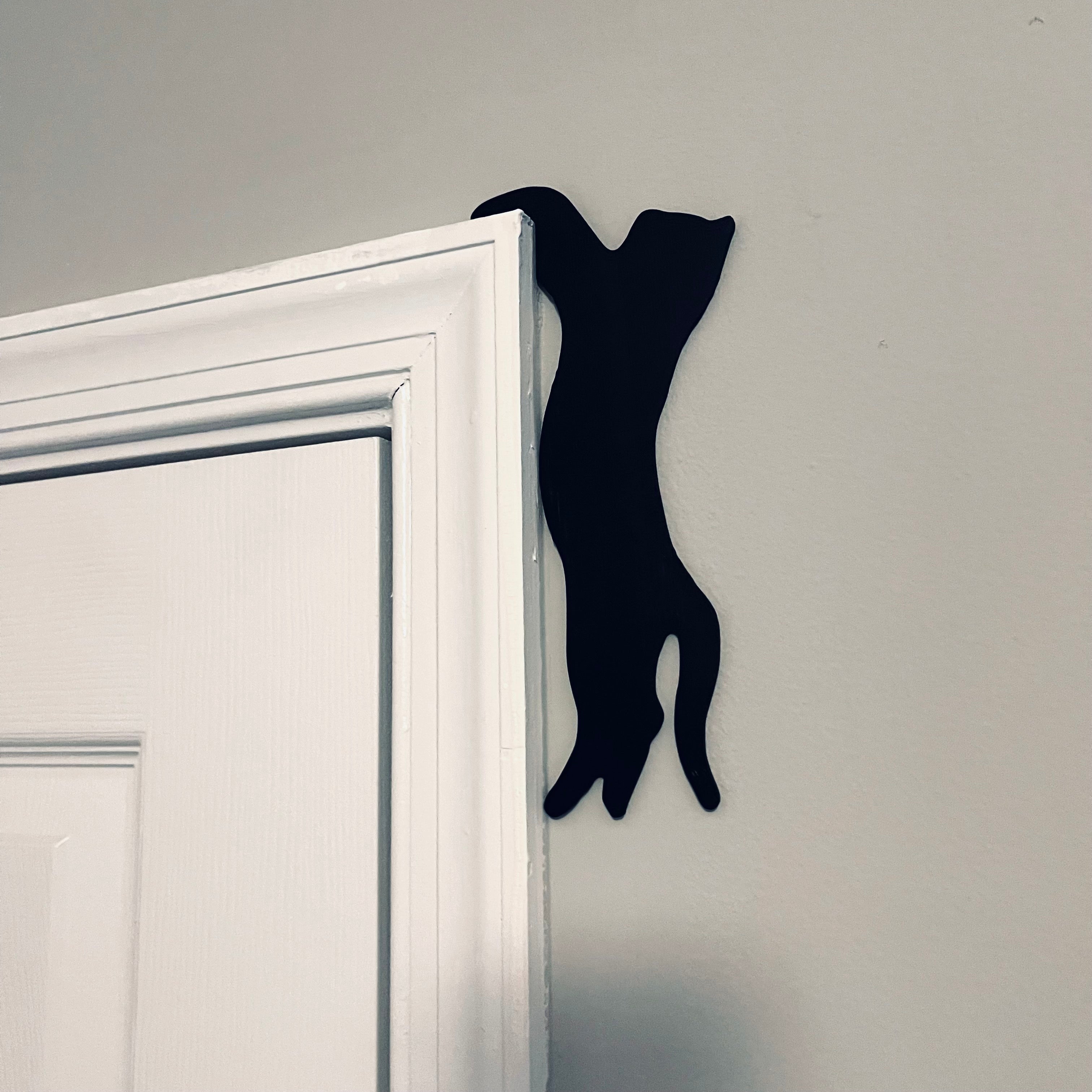 Hanging Cat Door Topper